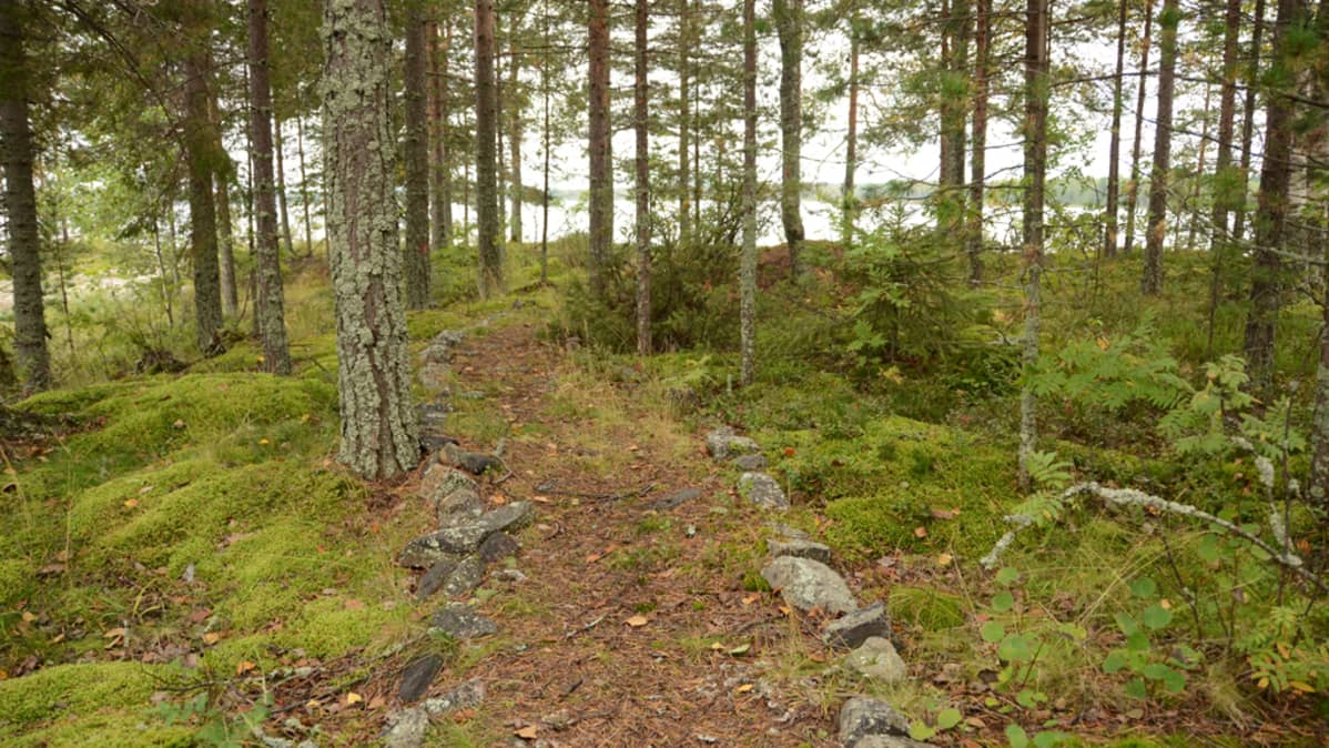 Polku Kalliosaarella.