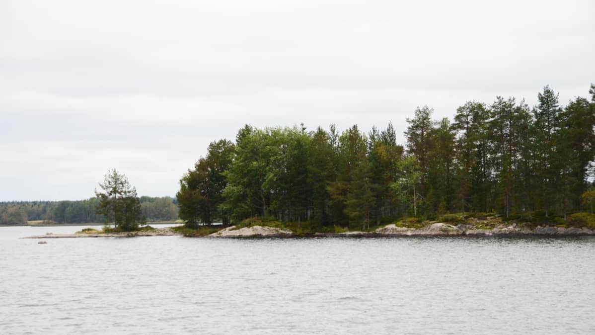 Kalliosaari.