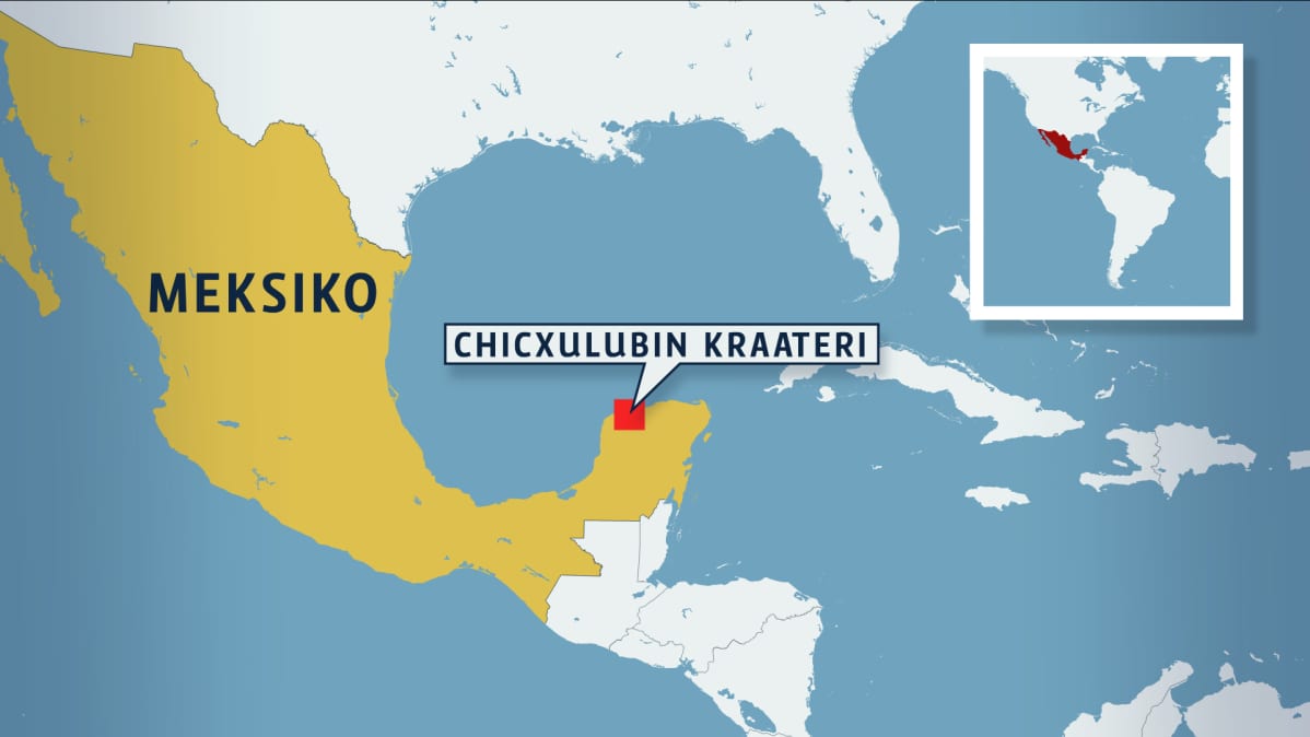 Chicxulubin kraateri.