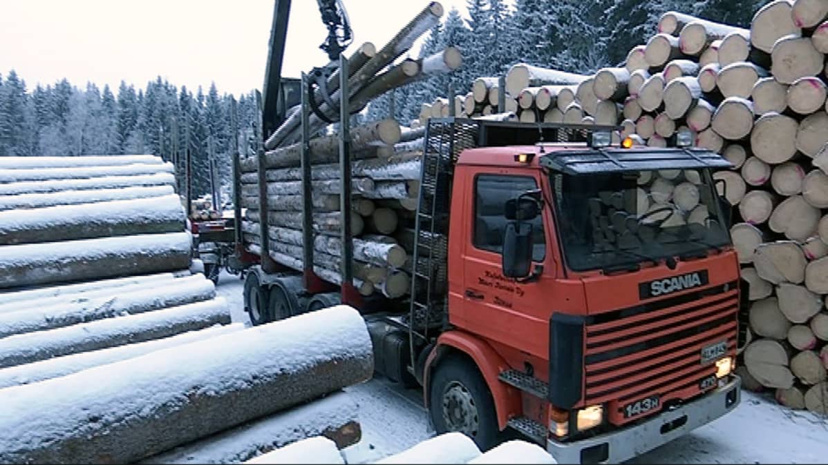 Puutavaraa kuormataan rekkaan talvisäässä.