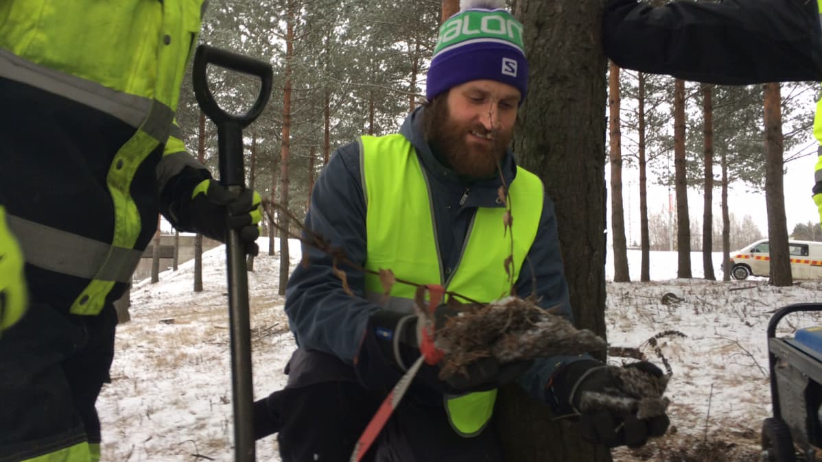 Jere Nieminen ja lehtoneidonvaippa