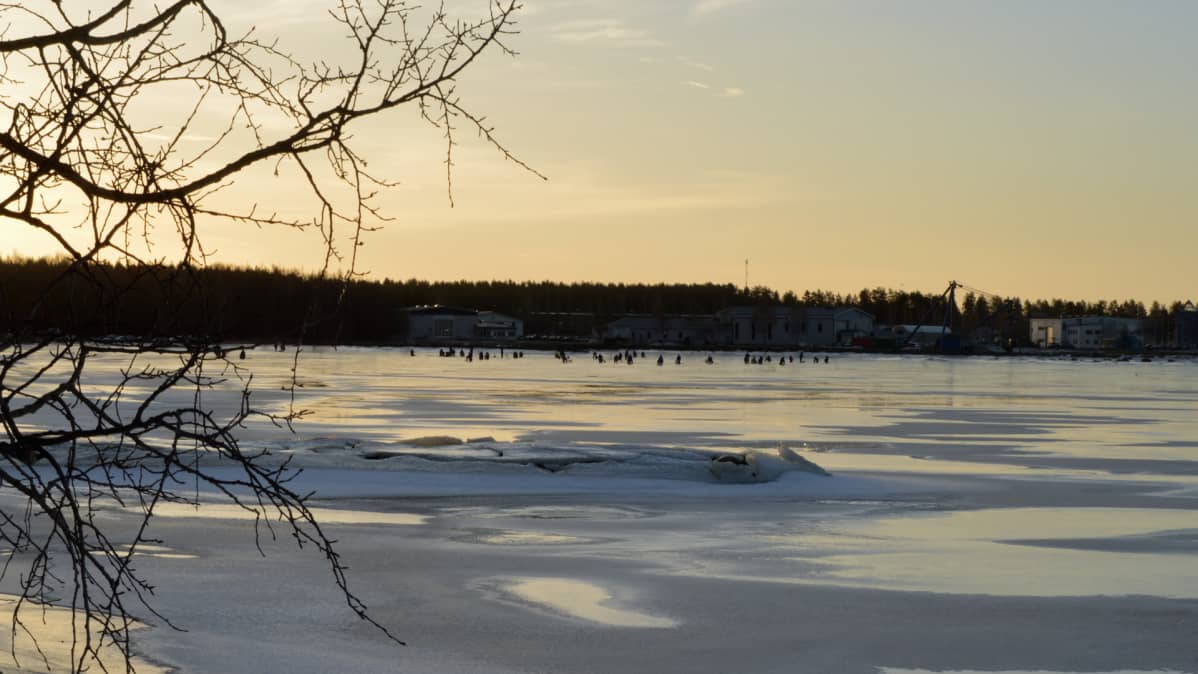 Kuvassa talvinen merenranta