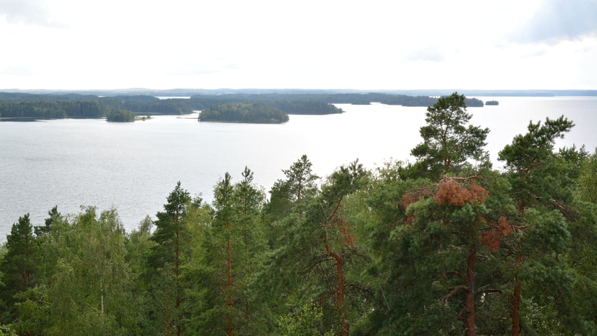 Näkymä Vehoniemenharjulta Roineelle.