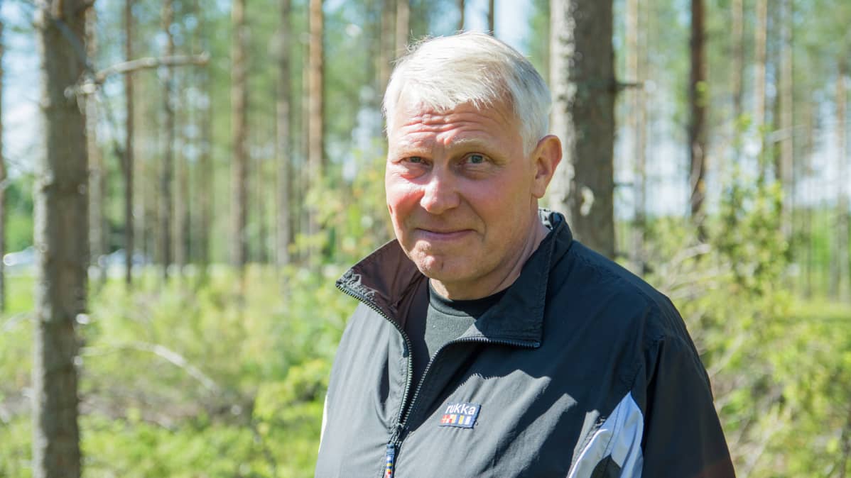 Kokoomuksen kansanedustaja Eero Suutari metsässä.