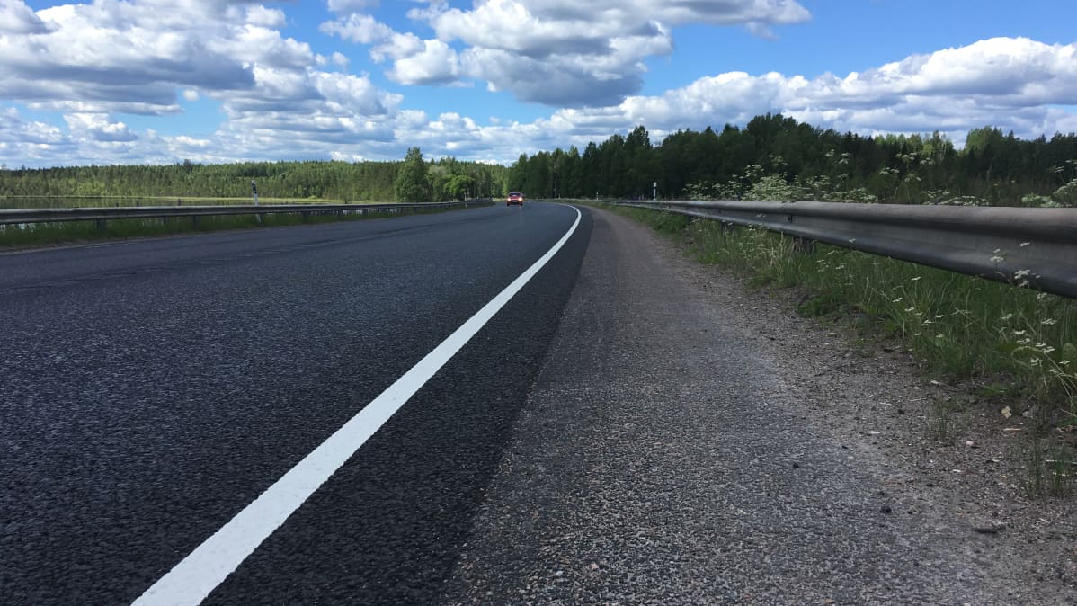 Tienpiennar maantiellä.