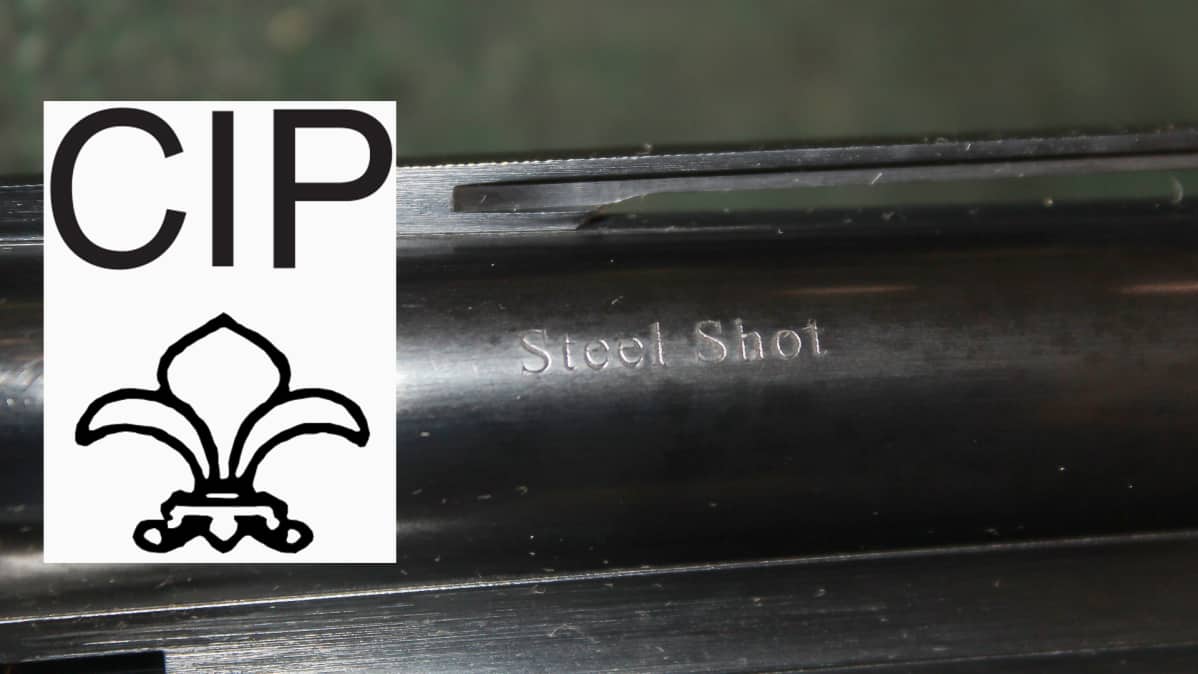 Proof steel shot