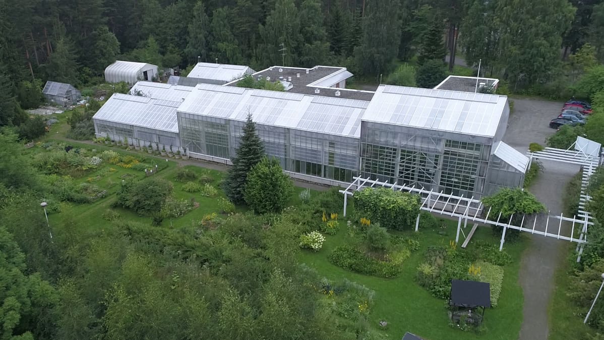 Botanian kasvihuoneet ja puutarhaa.