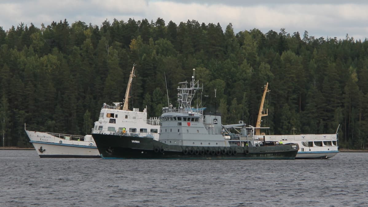 blue white eagle, lappeenranta