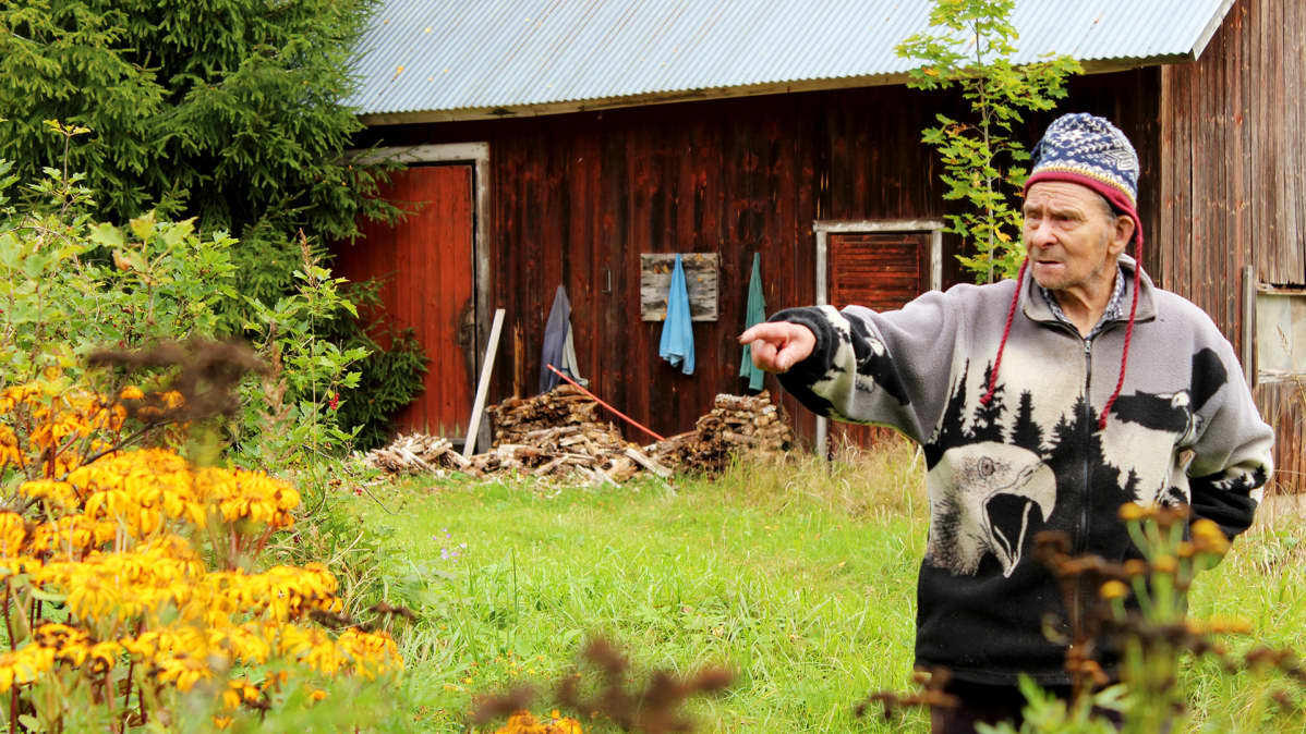 Matti Hölttä