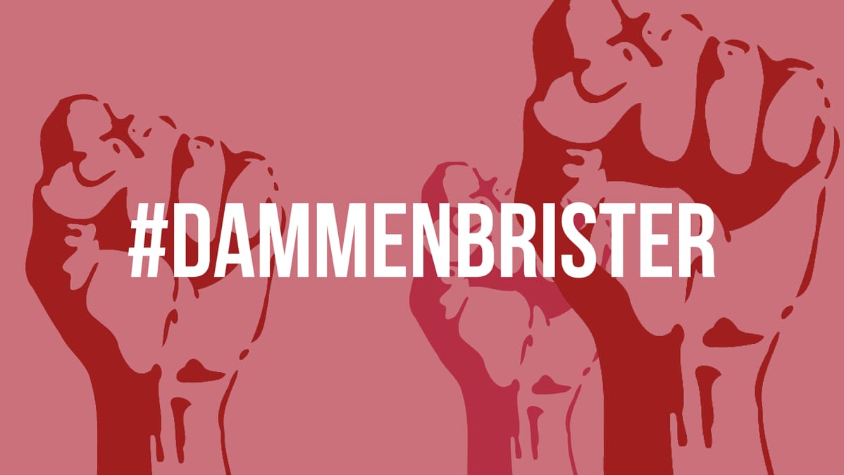 dammenbrister logo