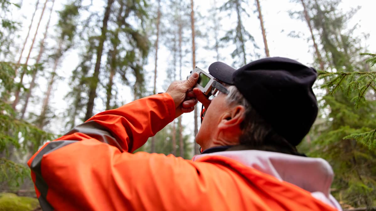 Luonnonvarakeskuksen tutkimusmestari Erkki Piiroinen mittaa laitteella puun korkeutta metsässä.