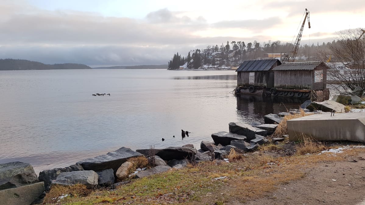 Laatokan rantaa Lahdenpohjassa