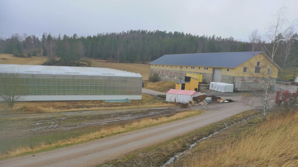 Iso kasvihuone