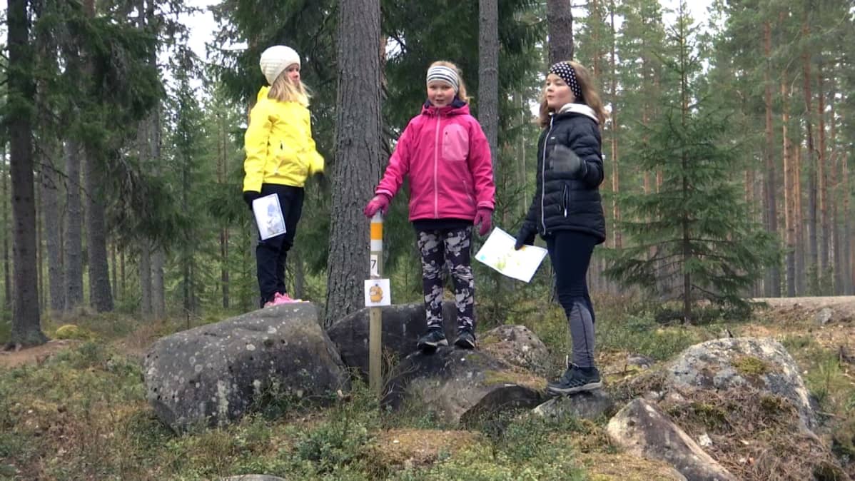 Kolme tyttöä seisoo suunnistuskarttojen kanssa metsässä