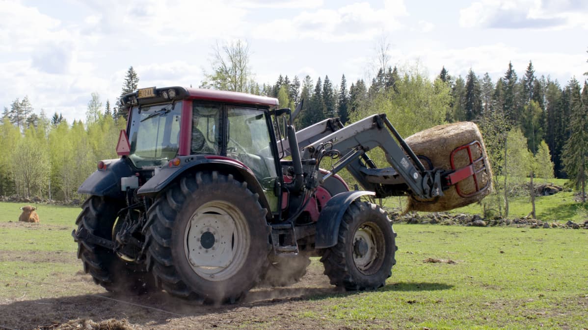Rehupaali traktorin etukuormaajassa