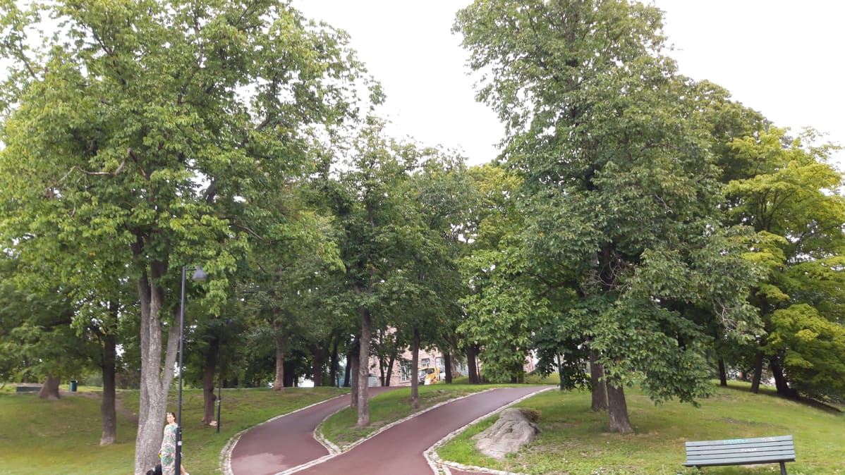 Puolalanpuisto Turussa.