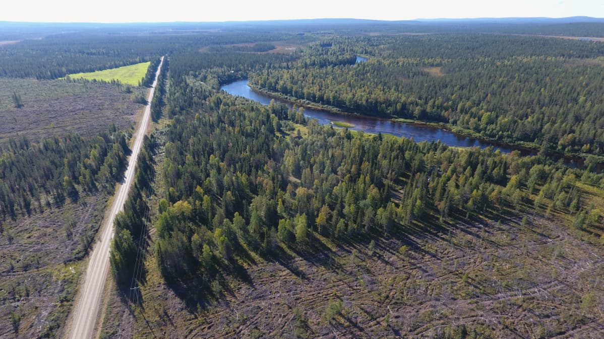 Hakkuu Savukosken Ruuvaojalla ilmasta kuvattuna