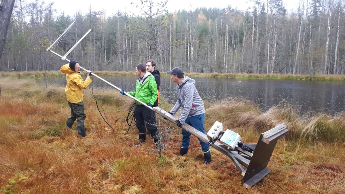 Majavaliven antennin pystytystä