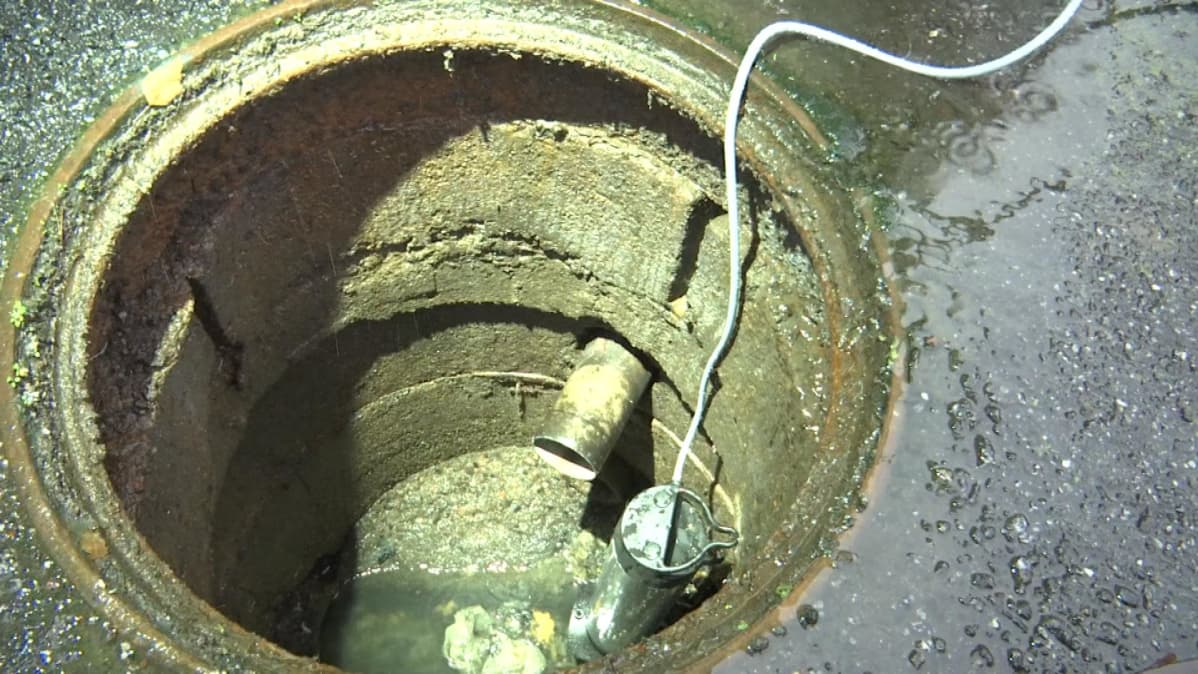 Avonainen viemäri jonne asennetaan rottaloukkua joka tappaa rotat nopealla naulaniskulla.