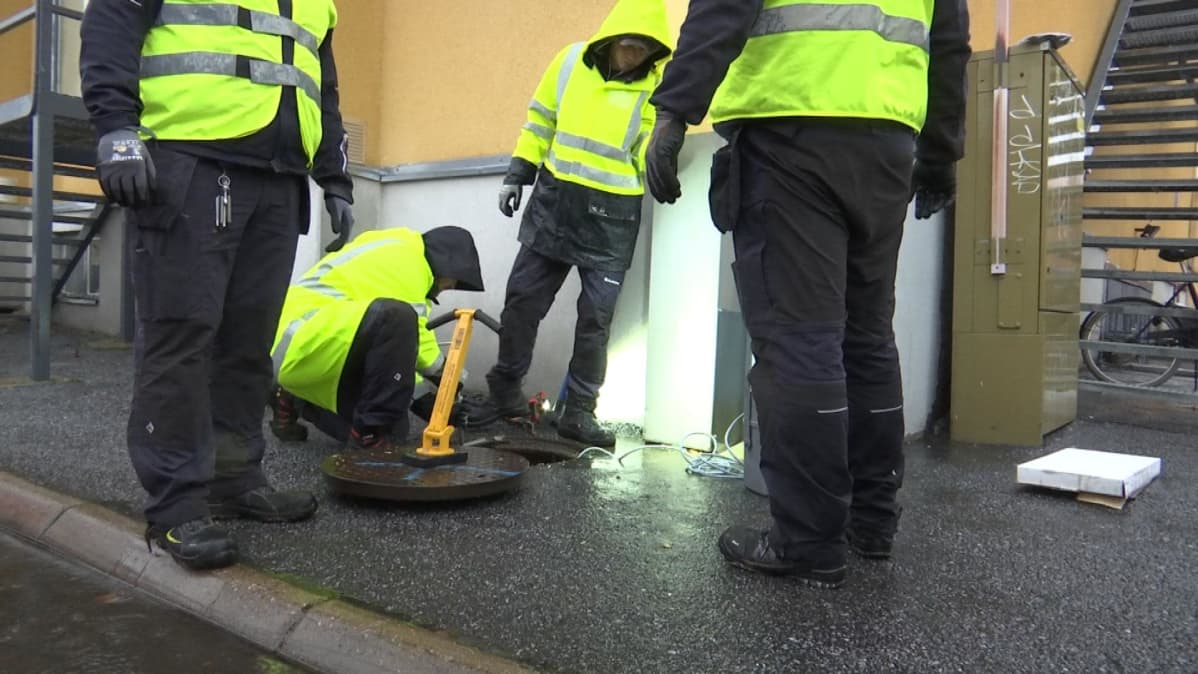 Vaasassa asennetaan neljän huoltomiehen voimin rottaloukkua viemäriin Klemettilän kaupunginosassa.