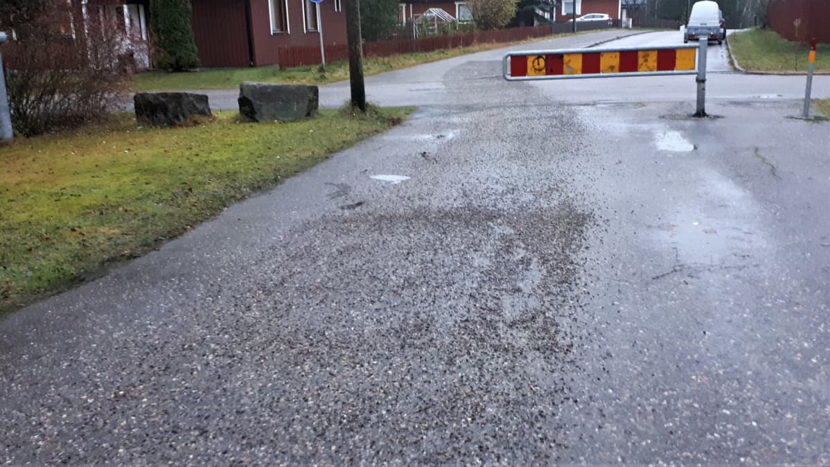 hiekoitushiekkaa pyörätiellä