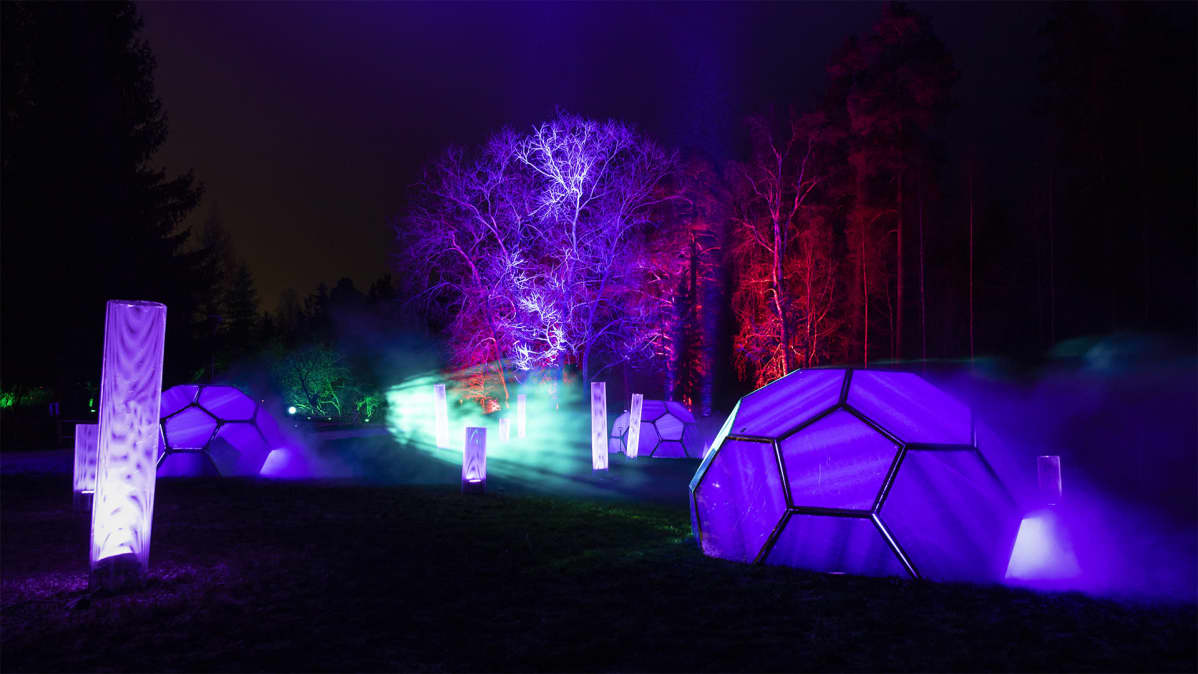 Antti Kulmalan teos Dimension X Joensuussa Botanian puutarhassa Visual Festivalilla.