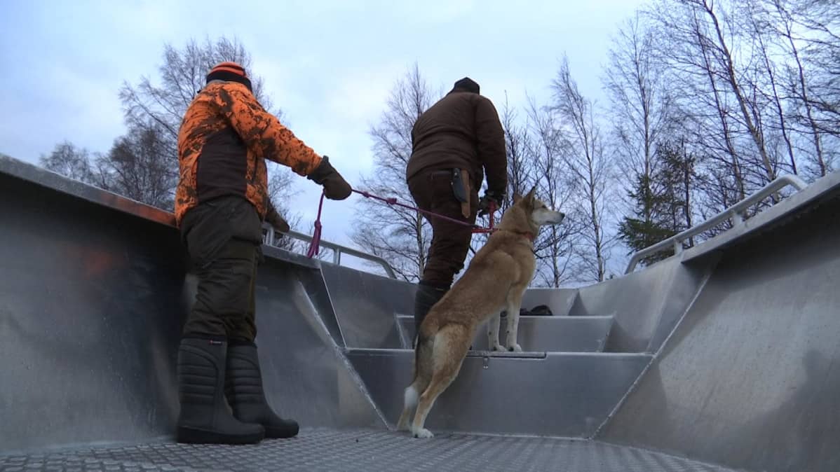 Koira ja metsästäjät veneessä