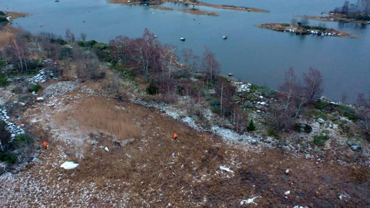 Supikoiran metsästystä