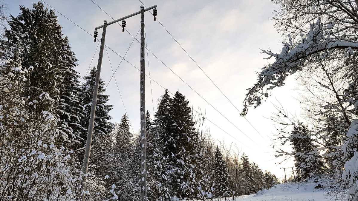 Sähkölinjoja lumisessa metsässä