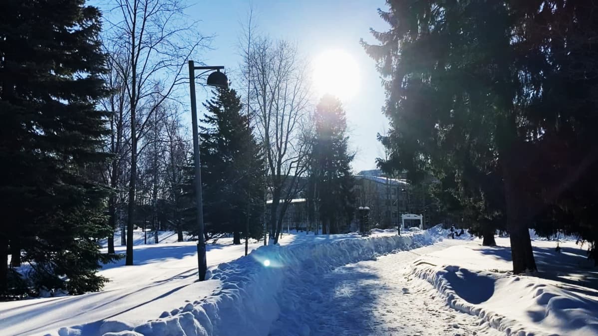 Oulun Ainolanpuistossa aurinkoinen talvisää
