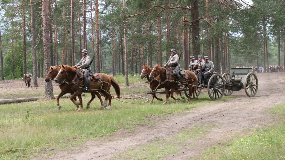 Perinnetykkivaljakko kesäisellä metsätiellä näytöksessä ihmisiä taustalla katsomassa
