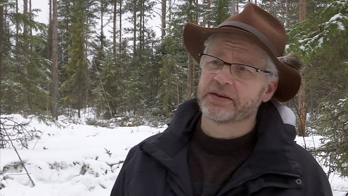 Tiimiesimies Ilkka Korhonen, Metsähallitus