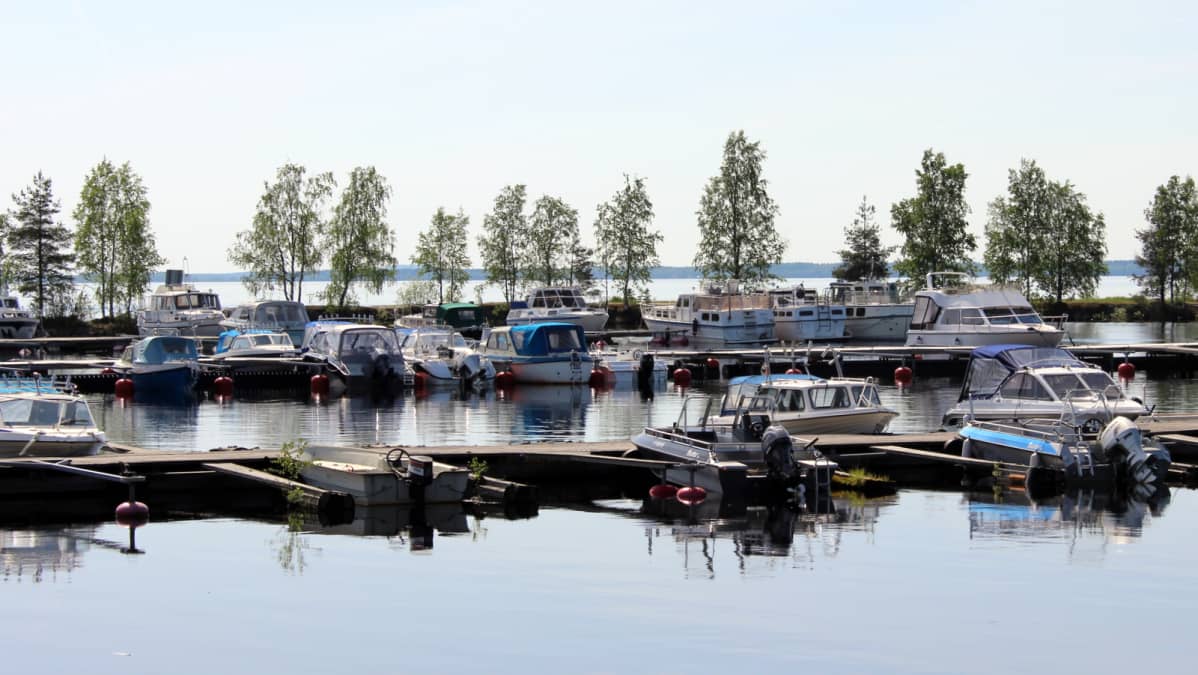 Veneitä Joensuun Linnunlahden venesatamassa.