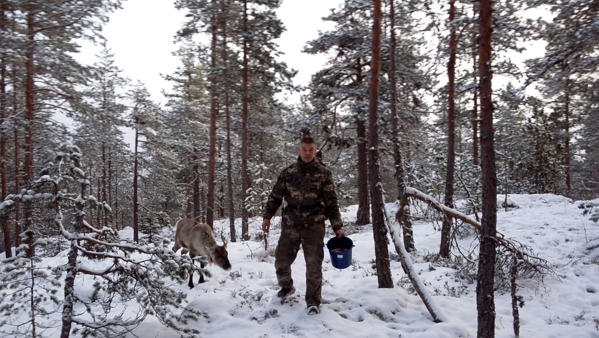 Tapani Vähäkuopus ja Urpo-poro