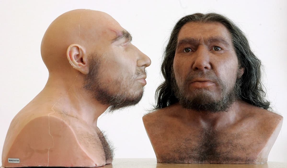 Neandertalilaisen 3-D-kuva edestä ja sivusta. Toisessa mallissa pitkä tukka, toisessa kalju pää.