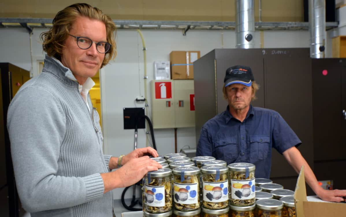Säilöttyjä sieniä. Kaavin herkkutattitehtaan Martti Nyberg ja poimija Martti Hallikainen