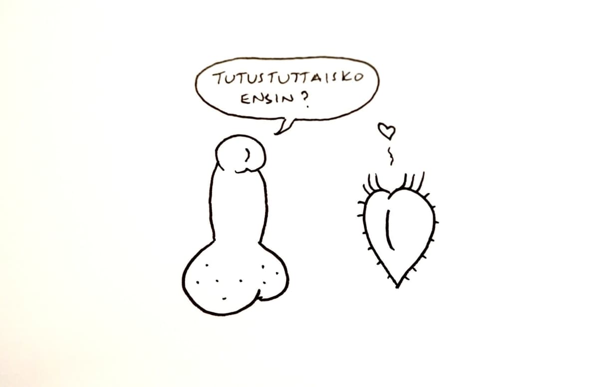 Miehen ja naisen sukupuolielimet tyylitellysti piirrettynä. Penis sanoo puhekuplassa "tutustuttaisko ensin?".