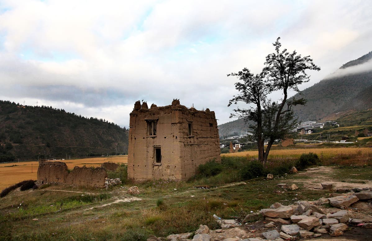 Bhutanilaista maaseutumaisemaa.