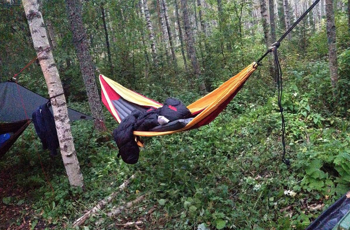 riippumatto metsässä