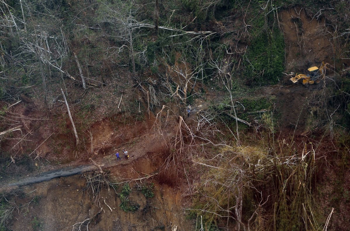 Hurrikaani Maria repi puita ja tuhosi teitä Puerto Ricon vuoristomaastossa.