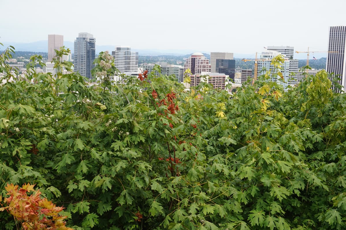Portland kuvat