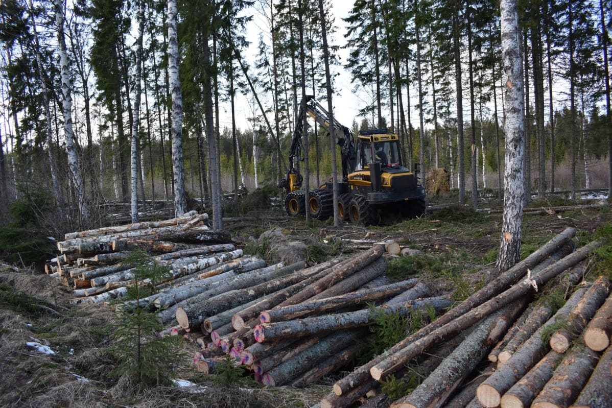 metsäkone Ahvenanmaalla, Lemland