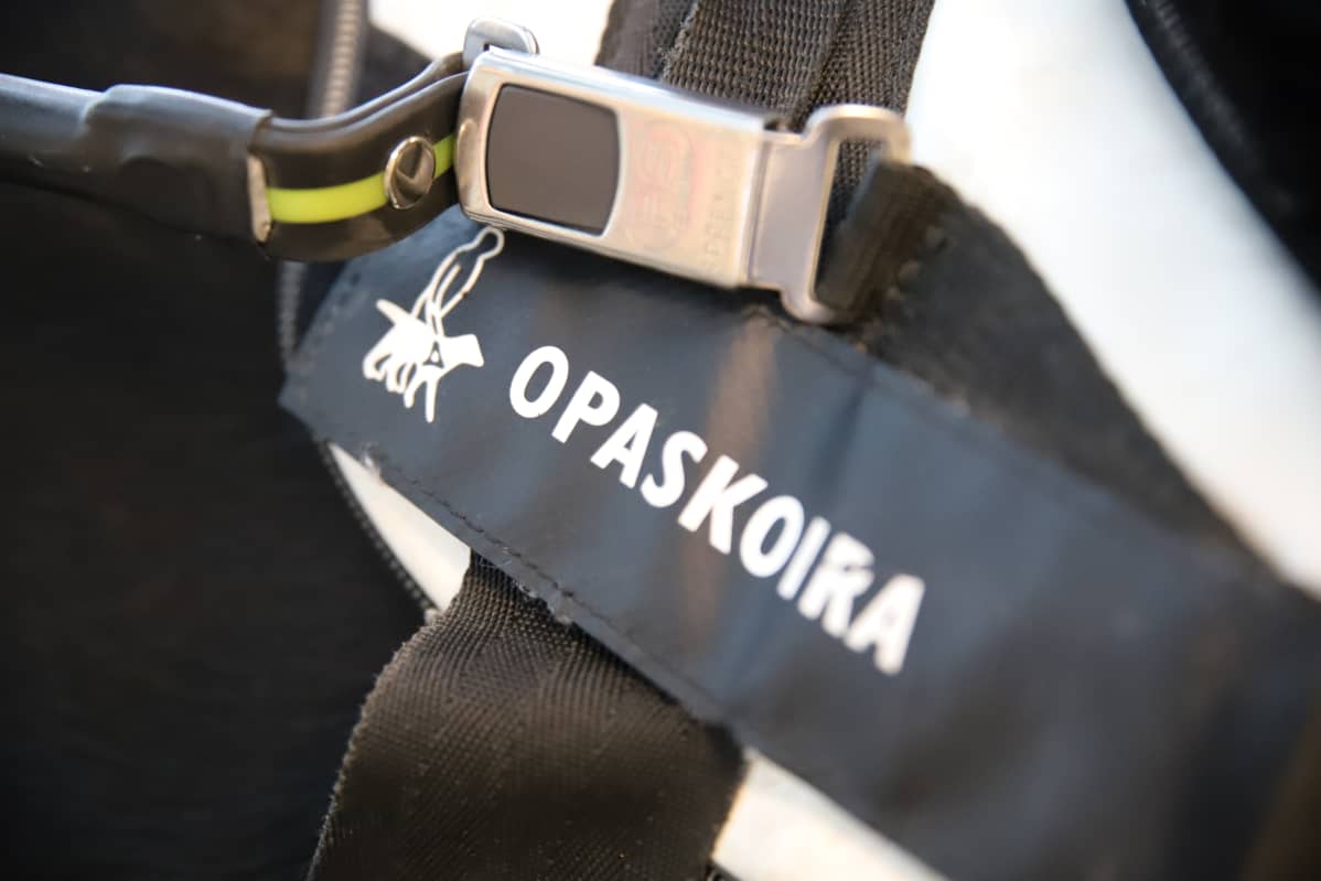 Opaskoiran valjaat