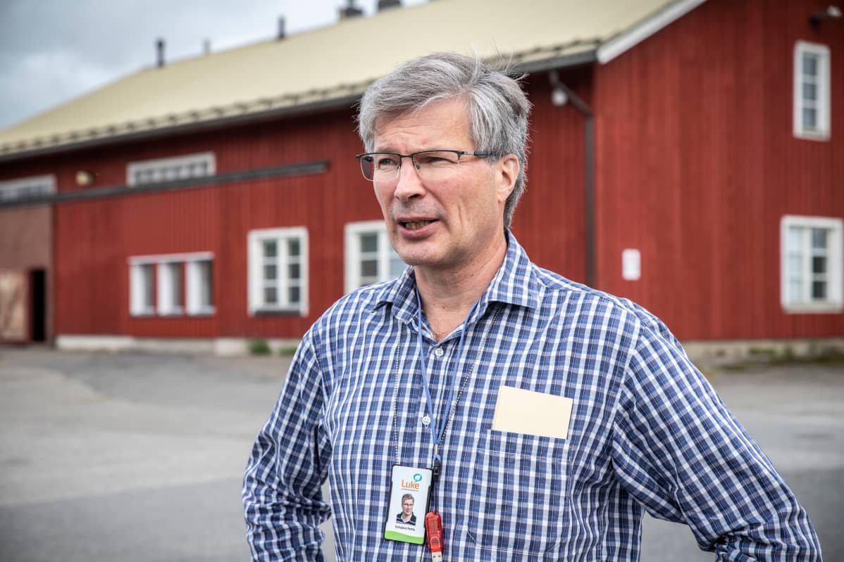 Luken tutkija navetan edustalla.