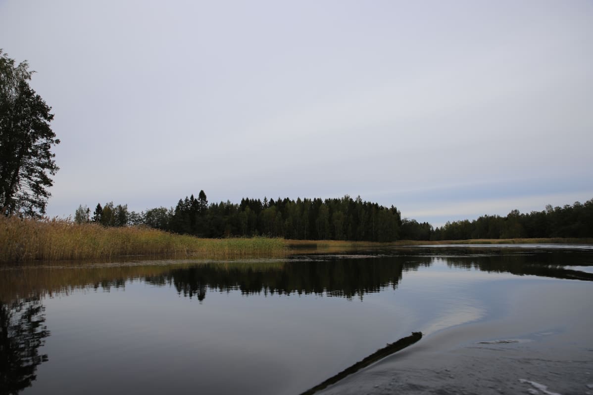 Hässjeholmenin saari on pienen venematkan päässä Ulotin saaresta