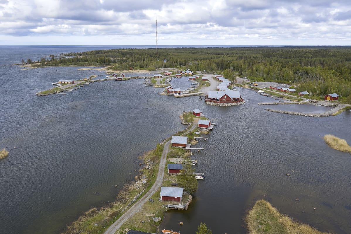 Ilmakuva Mustasaaren Svedjehamnista merenkurkusta