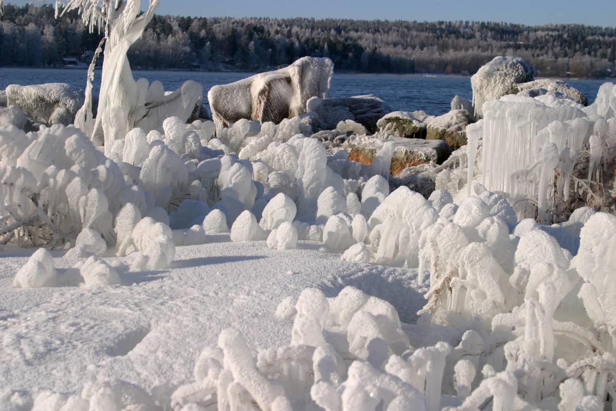 Jäätä rannassa.