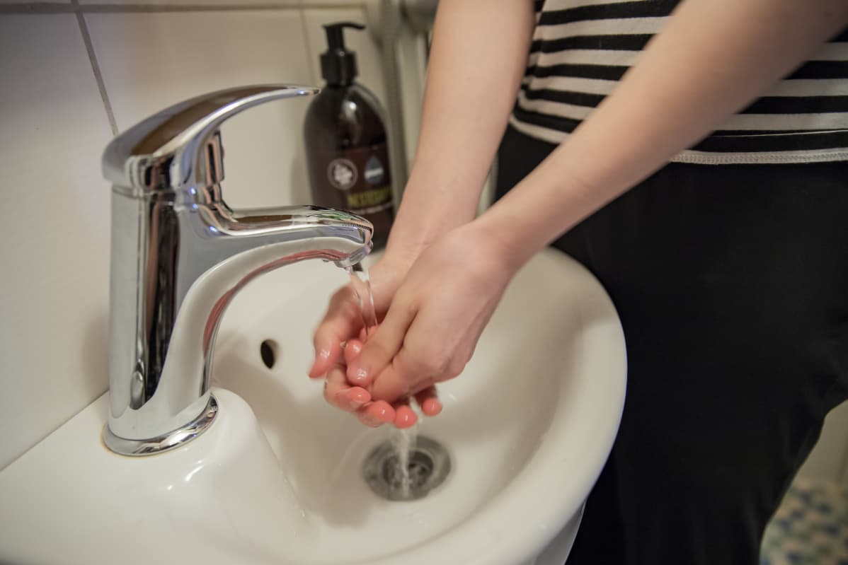 Käsiä pestään