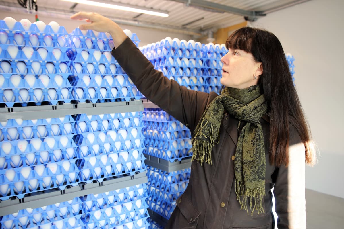 Susanna Särkijärvi ja munakennoja
