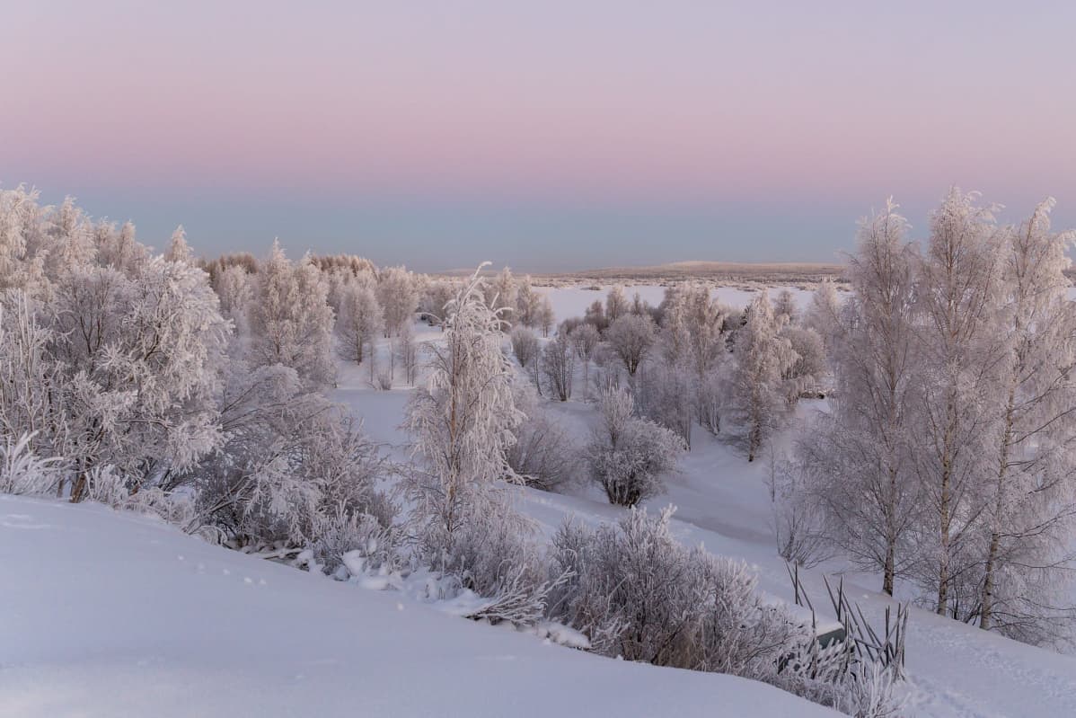 Huurteinen maisema Rovaniemellä.